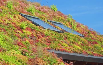 Embo living roof systems