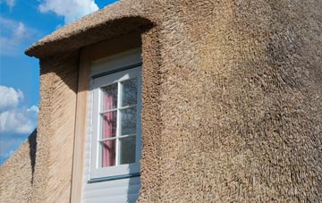 Embo thatch roof disadvantages